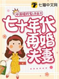 七零年代的二婚妻子